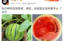 最近最火的娱乐圈吃瓜,揭秘明星背后的惊人真相！