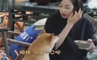 娱乐八卦吃瓜直播姐妹视频,揭秘娱乐八卦吃瓜姐妹的幕后故事