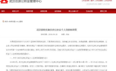武汉公积金,武汉公积金政策最新调整与解读