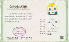 中级会计考试,全面解析、备考策略与技巧