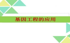 基因工程及其应用ppt,革新农业、医疗与环境保护的科技力量