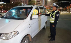 阳江市车辆违章查询,便捷查询与处理流程详解