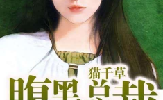 总裁抱抱娱乐,揭秘娱乐圈背后的温馨故事