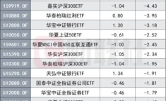 嘉实300基金净值,投资风险与收益全面分析